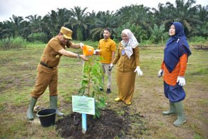 Canangkan Program Ketahanan Pangan, Pj Bupati Hambali Lakukan Penanaman Bibit Padi
