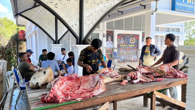 
					Berkah Idul Adha, PWI Kampar Sembelih Hewan Qurban