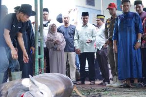 Bupati, Wabup, Keluarga Saksikan Pemotongan Hewan Kurban Presiden RI dan Pemda Kampar di Islamic Centre Bangkinang