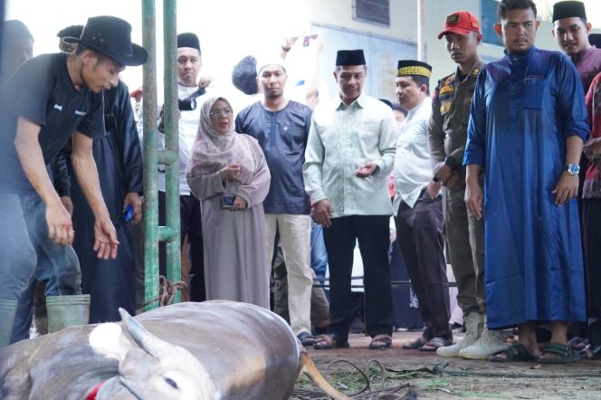 
					Bupati, Wabup, Keluarga Saksikan Pemotongan Hewan Kurban Presiden RI dan Pemda Kampar di Islamic Centre Bangkinang