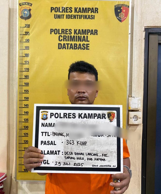 
					Pelaku Spesialis Pencurian Mobil Pick Up Diringkus Polres Kampar, Sudah Beraksi di 5 TKP
