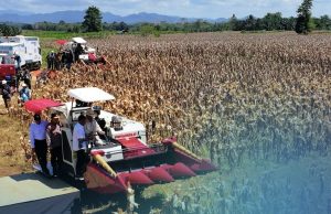 BPS Catat Penduduk Miskin Alami Penurunan, Mensesneg: Pemerintah Terus Bekerja Keras Tekan Angka Kemiskinan di Tanah Air