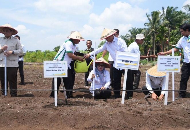 
					Hadiri Peresmian Demplot Program Ketahanan Pangan Nasional, Ini Kata Wabup Misharti