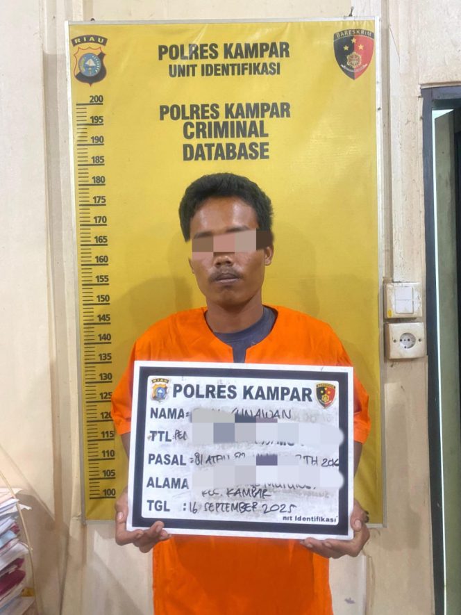 
					Berawal dari Whatsapp Berujung Dicabuli Berulang Kali, Pelaku Diringkus Polres Kampar