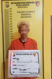 Cabuli Remaja 16 Tahun, Pria Pirang Asal Teluk Kuantan Ditangkap Polsek Kampar Kiri