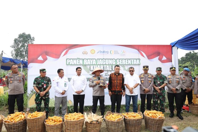 
					Wujud Nyata Sinergi untuk Ketahanan Pangan, Polda Riau Gelar Panen Raya Serentak Kuartal III 2025