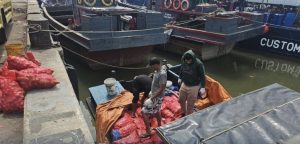 Tindak Impor Ilegal, Bea Cukai Amankan Kapal Bermuatan Bawang Merah