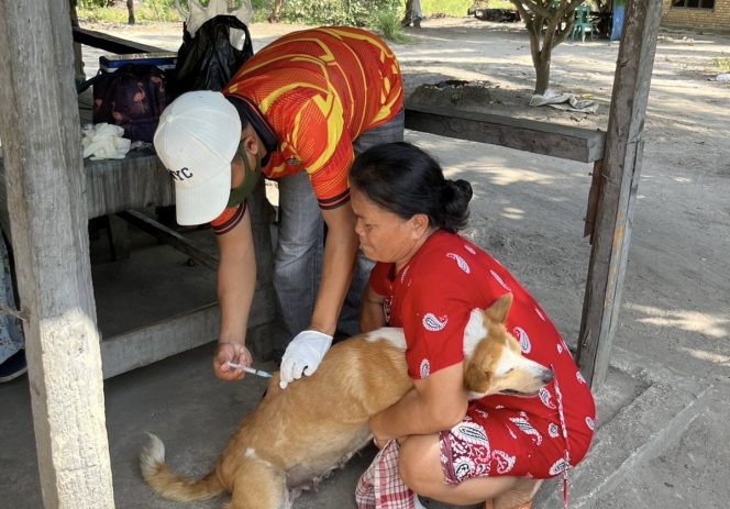 
					Disbunnakkeswan Kampar Lakukan Vaksinasi Rabies