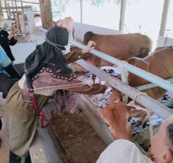 
					Antisipasi PMK Hewan, Disbunnak Keswan Kampar Lakukan Berbagai Upaya