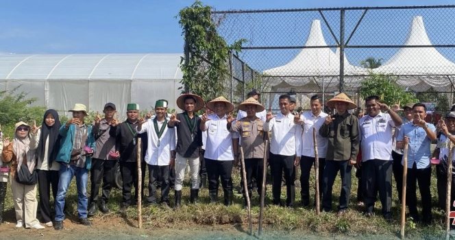 
					Bupati Anton Ikuti Penanaman Jagung Serentak Kolaborasi BUMDes Suka Maju dan HMI Rohul