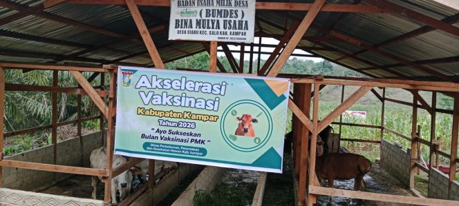 
					Disbunnak Keswan Kampar Ikuti Vaksinasi PMK Serentak Tahun 2026