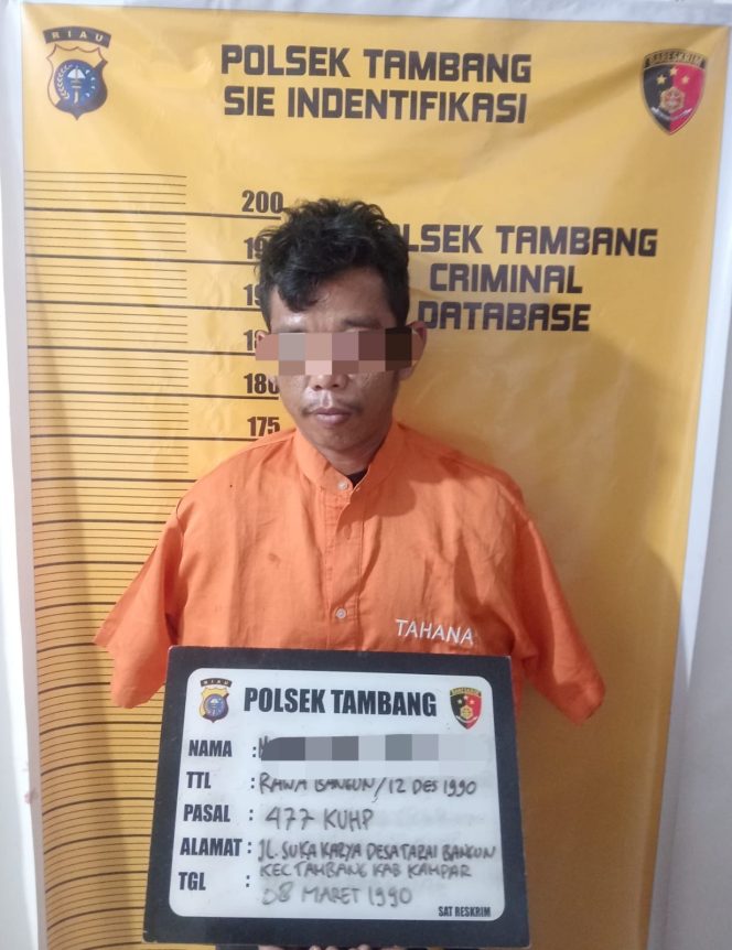 
					Polsek Tambang Tangkap Pelaku Pencurian dan Pemberatan di Desa Tarai Bangun