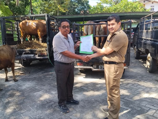 
					Semangat Berkurban 2026, Pemkab Kampar Salurkan 57 Hewan Kurban