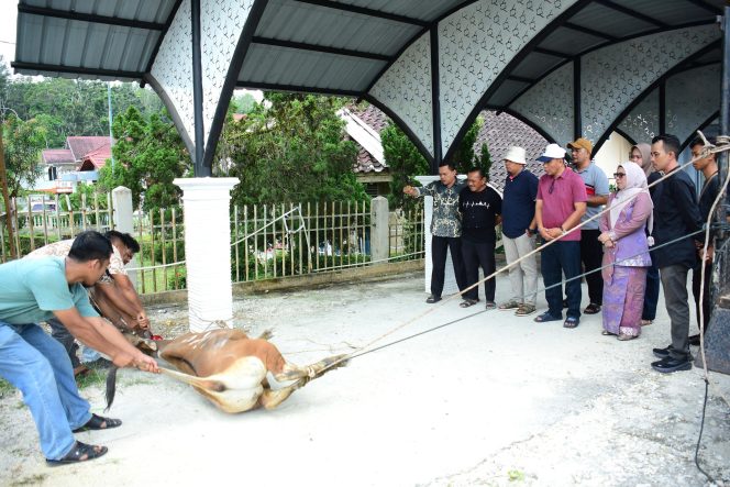 
					Idul Adha 1447 H, PWI Kampar Sembelih 1 Ekor Hewan Qurban