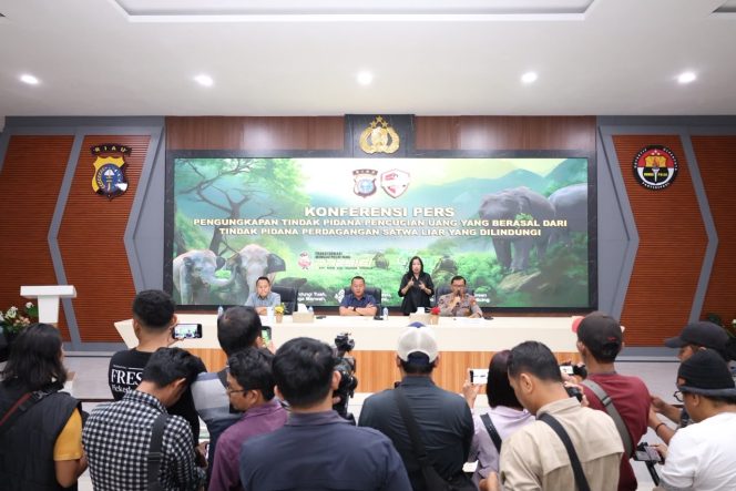 
					Polda Riau Bongkar Perdagangan Gading Gajah Sumatera, Temukan Aliran Dana Rp1,8 Miliar dan Dua Tersangka Dimiskinkan