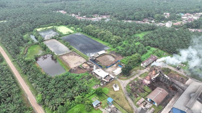 
					Denyut Energi Hijau dari Jantung Perkebunan Sawit PTPN IV