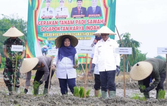 
					Dorong Swasembada Pangan dan Modernisasi Pertanian, Bupati Ahmad Yuzar Canangkan Gerakan Tanam Padi Sawah