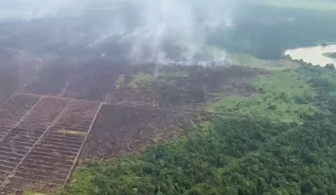 
					Kapolda Riau Lakukan Patroli Udara Terhadap Karhutla Pelalawan
